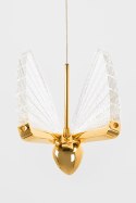 Lampa wisząca BUTTERFLY DISC 5 złota