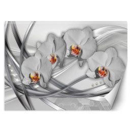 Fototapeta, Abstrakcja orchidea - 250x175