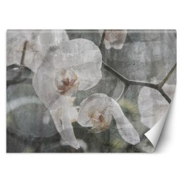 Fototapeta, Orchidea vintage - 300x210